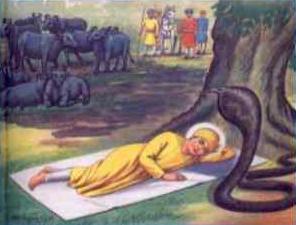 Guru Nanak dev ji at fields 